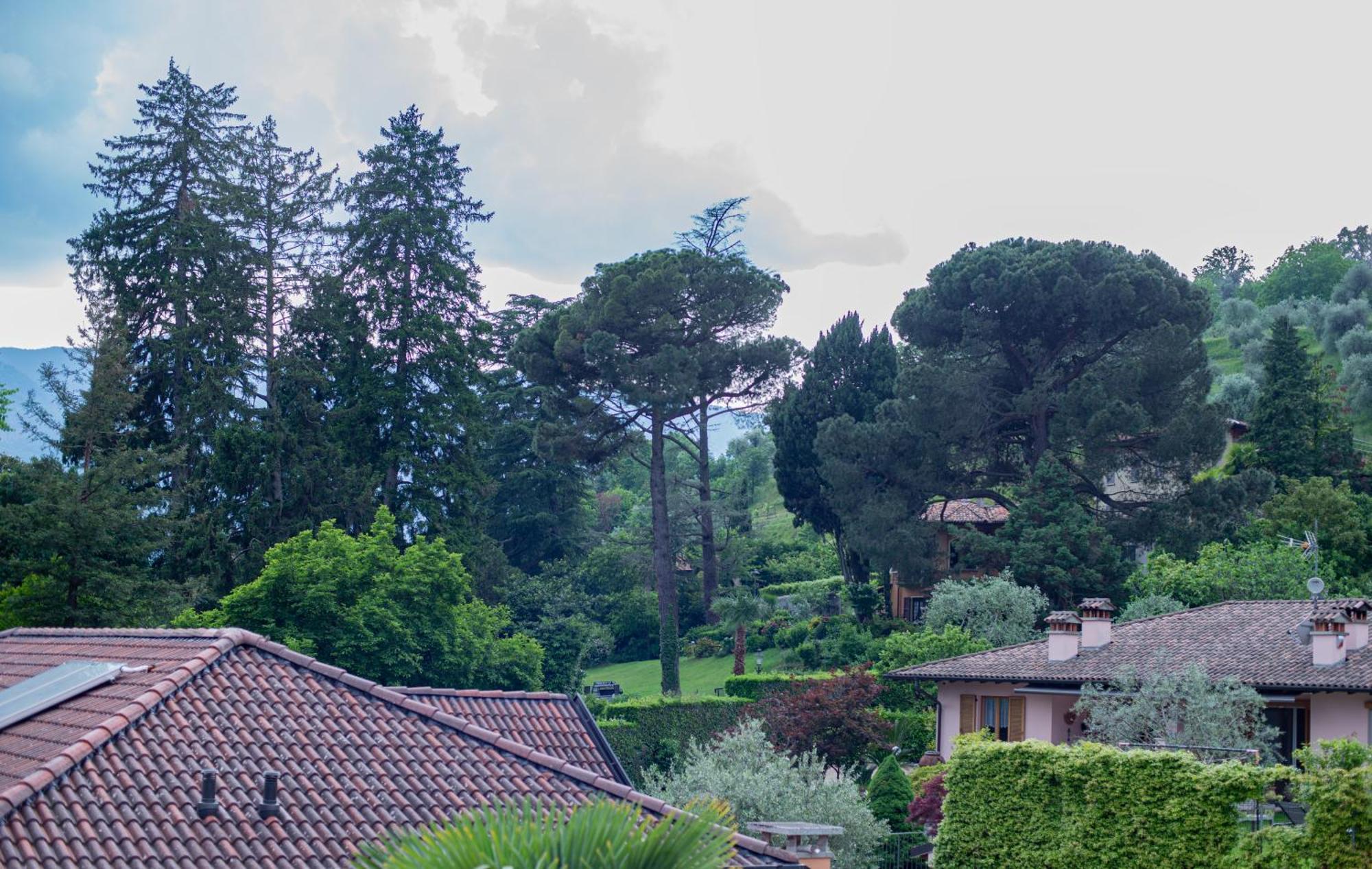 Serene Garden Getaway Cadenabbia Exterior photo
